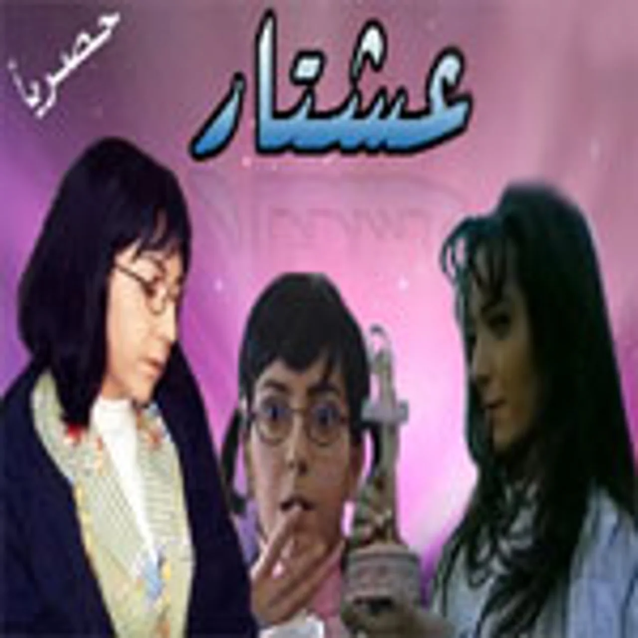ارى سلمى