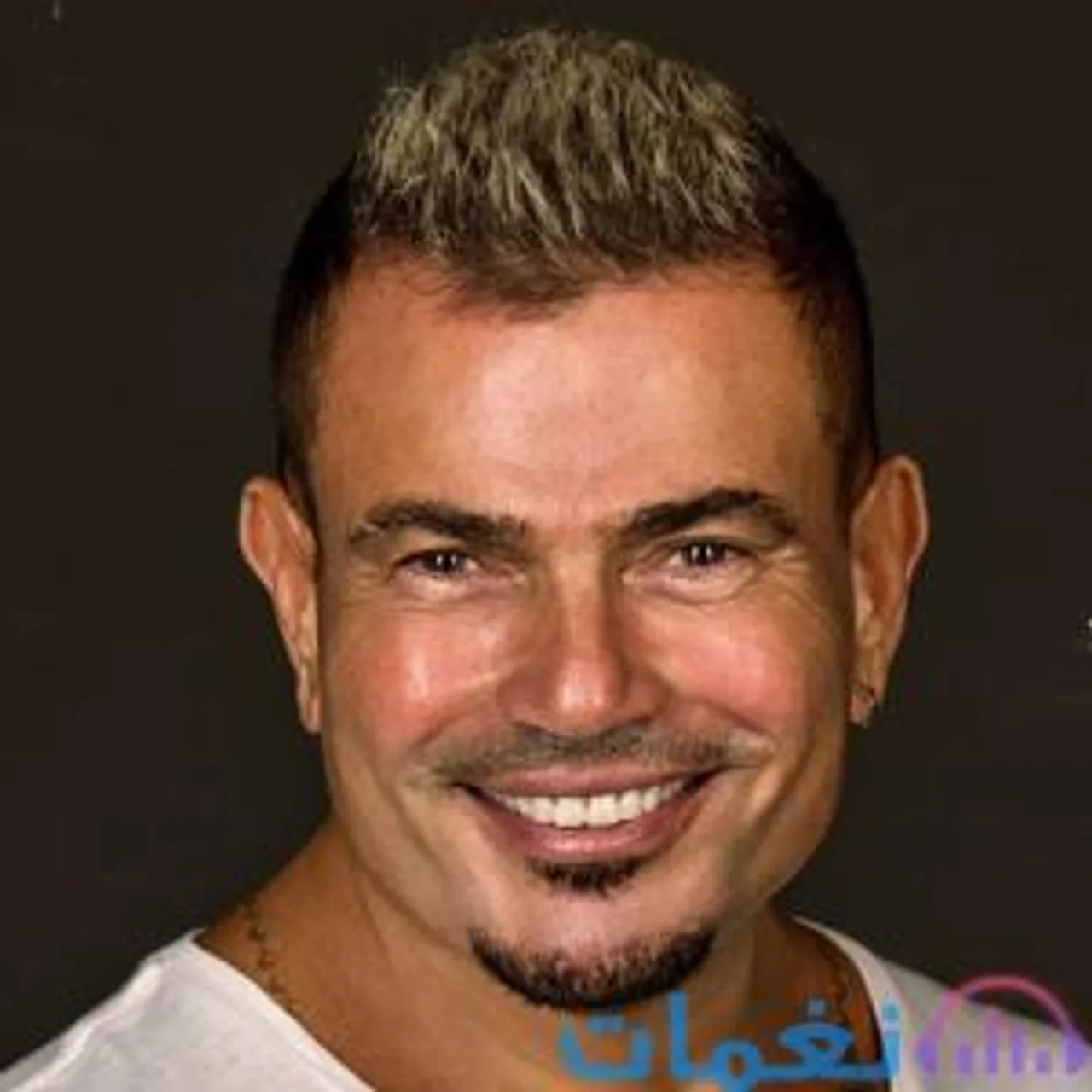 عمرو دياب