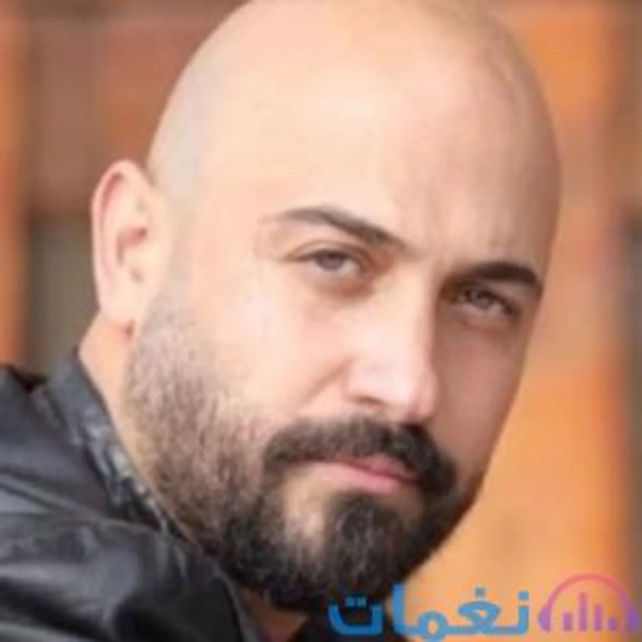 ربيع مهدي